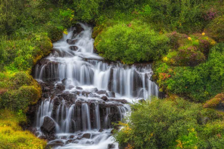 bush nature waterfall HD Desktop Wallpaper | Background Image