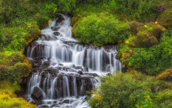 bush nature waterfall HD Desktop Wallpaper | Background Image