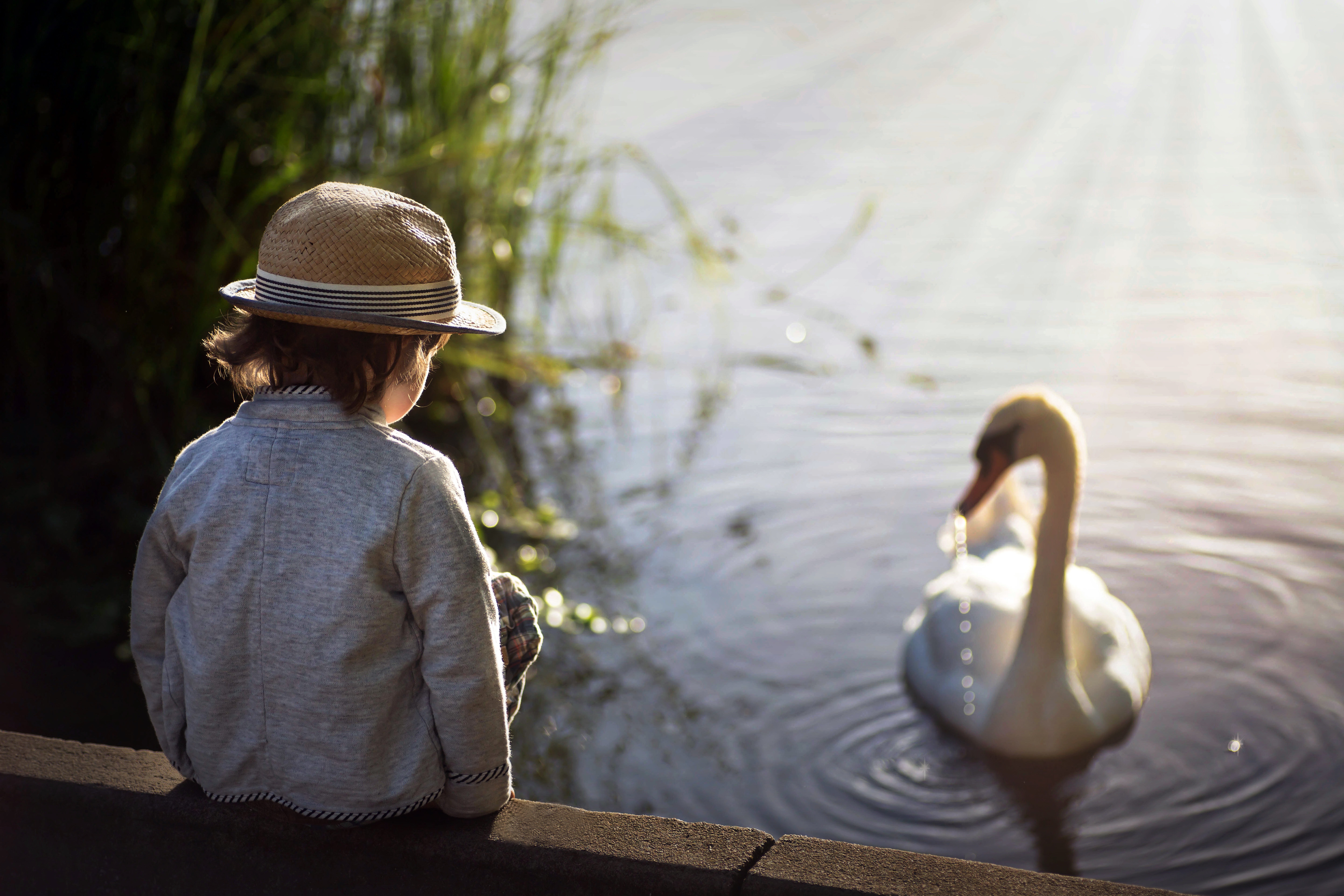 Трогательный мир. Дети на озере. Пруд для детей. Мальчики на пруду. Лебедь для детей.