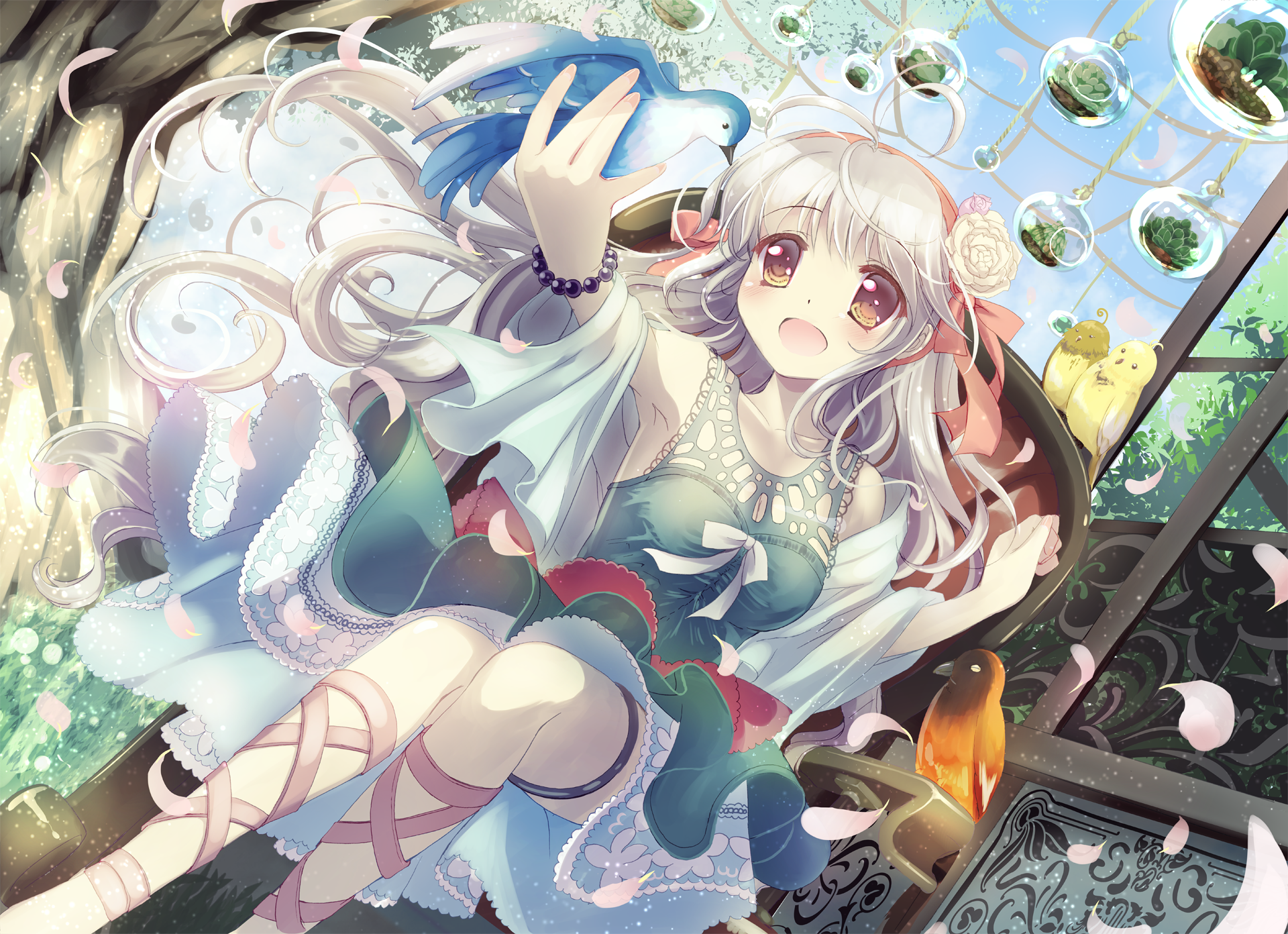 A vibrant anime scene featuring a girl with flowing white hair, interacting with colorful birds in a lush, enchanting environment. This HD image serves as a captivating PC desktop wallpaper.