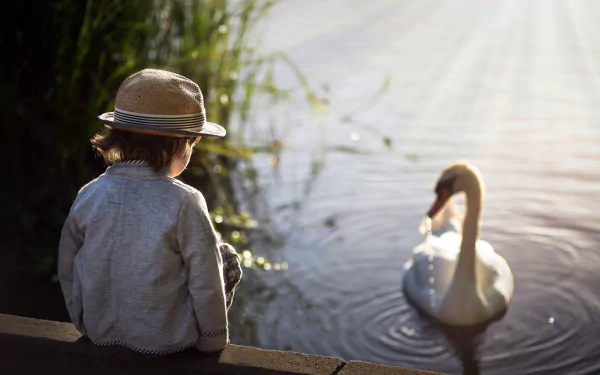 bird swan sunny little boy hat photography child HD Desktop Wallpaper | Background Image