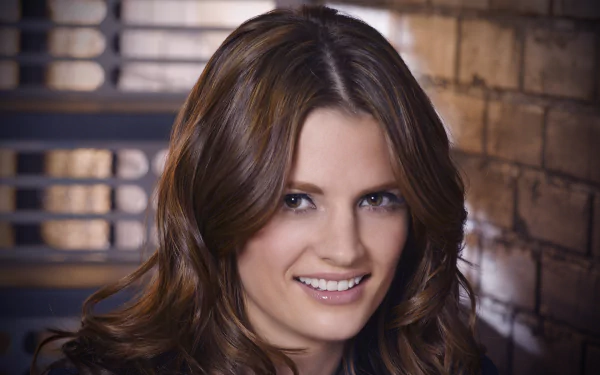 face brown eyes brunette smile Canadian actress Celebrity Stana Katic HD Desktop Wallpaper | Background Image