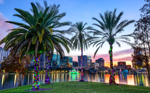 Man Made Orlando Cities United States City Building Palm Tree Light Lake HD Wallpaper | Background Image