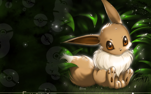 Anime Pokémon Eevee HD Wallpaper | Background Image
