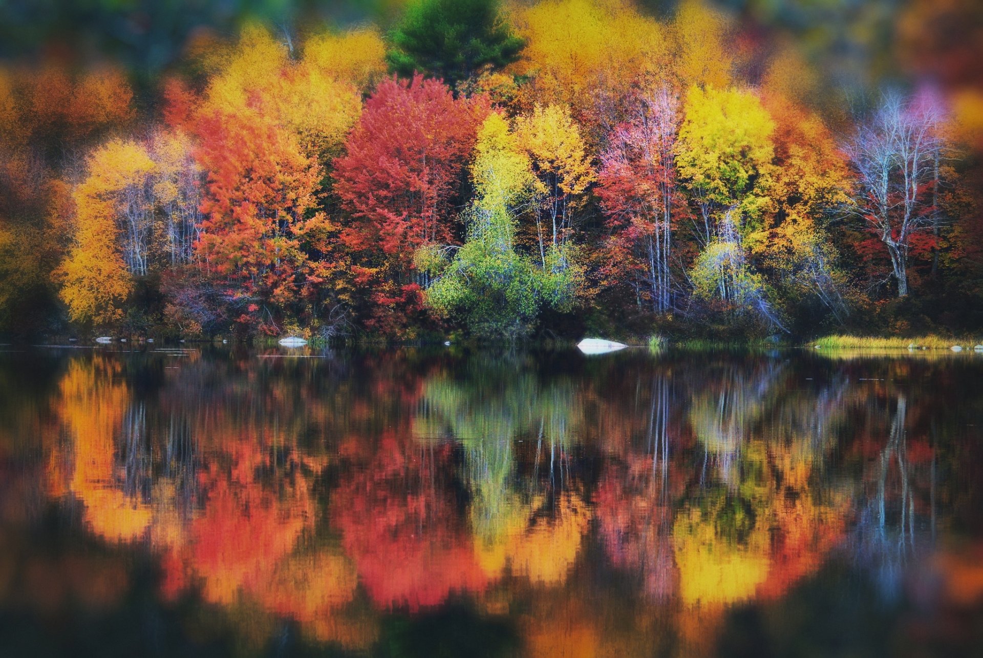 Download Blur Lake Tree Fall Nature Reflection HD Wallpaper | 2048x1371 ...