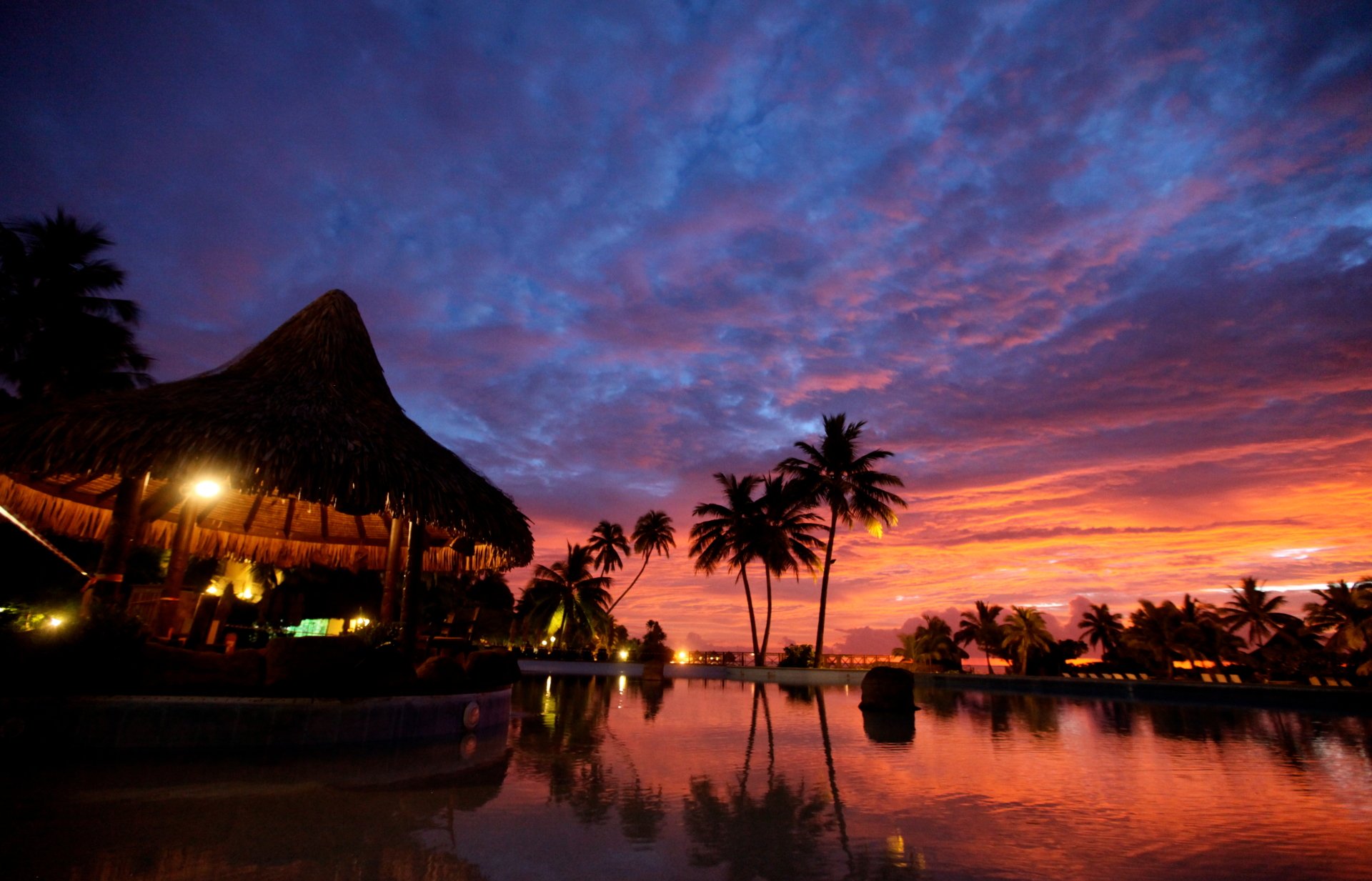 A 4K Ultra HD tropical resort sunset with silhouetted palm trees reflected in calm water under a vibrant purple and orange sky.
