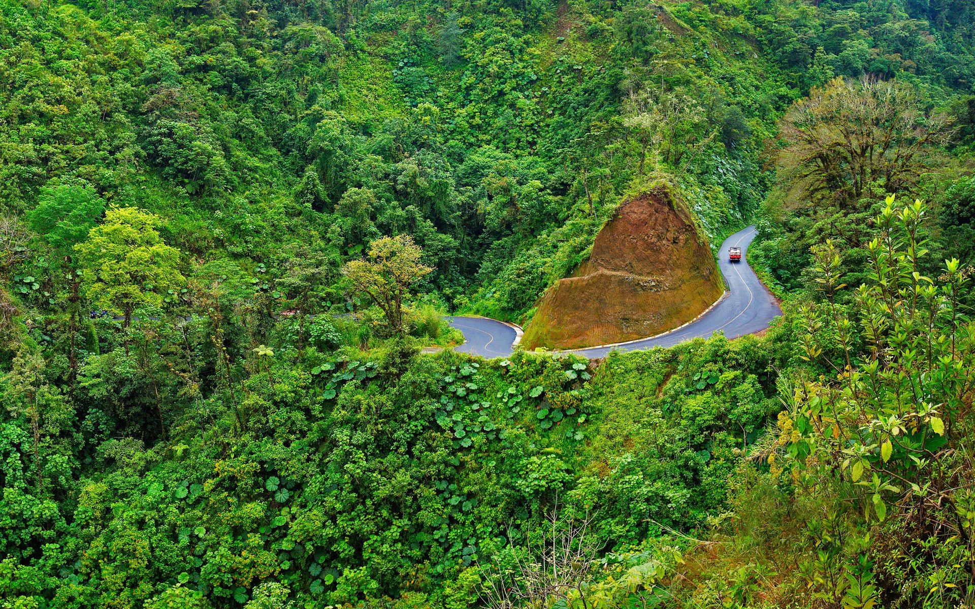 Serene Mountain Road Winding Through Lush Green Forest by Stefano ...