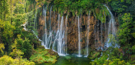 greenery Plitvice lakes tree nature Croatia waterfall HD Desktop Wallpaper | Background Image