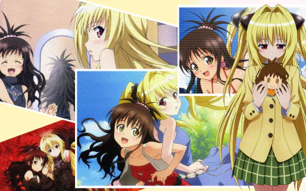 A vibrant HD desktop wallpaper featuring Mikan Yuuki and Golden Darkness from the anime To Love-Ru, showcasing playful and heartfelt moments between the characters.
