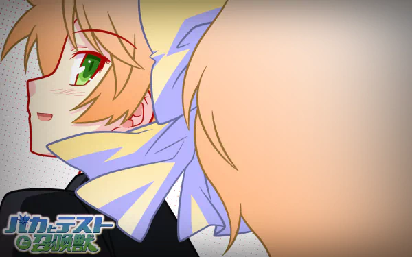 Anime Baka and Test HD Desktop Wallpaper | Background Image