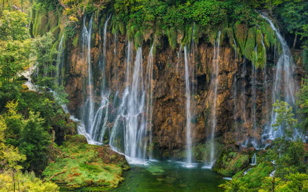 greenery Plitvice lakes tree nature Croatia waterfall HD Desktop Wallpaper | Background Image