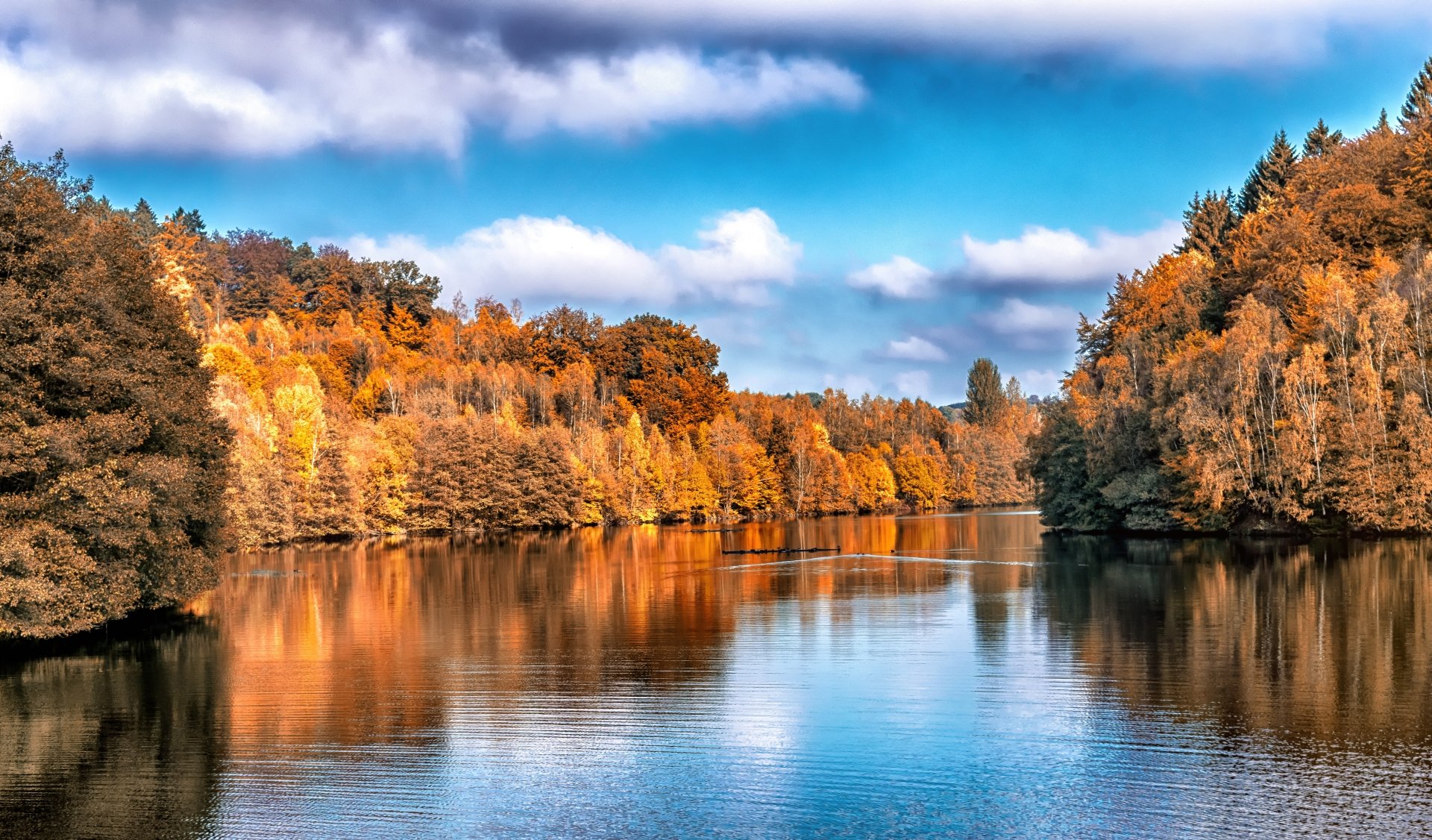 Download Cloud Reflection Tree Fall Nature River 4k Ultra HD Wallpaper ...