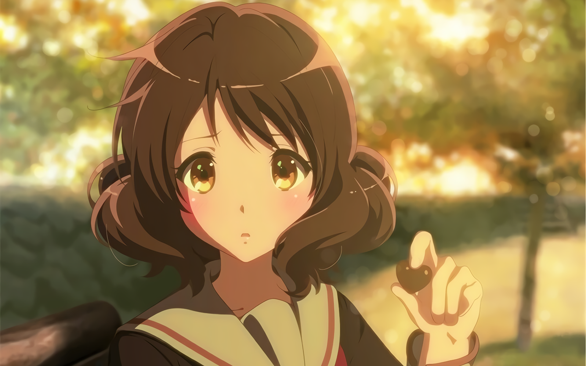 Download Anime Sound! Euphonium HD Wallpaper