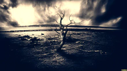 A solitary tree stands against a dramatic sky, its gnarled branches reaching out over a cracked landscape, capturing the essence of nature's beauty in this HD desktop wallpaper.