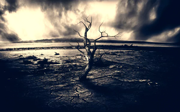 A solitary tree stands against a dramatic sky, its gnarled branches reaching out over a cracked landscape, capturing the essence of nature's beauty in this HD desktop wallpaper.