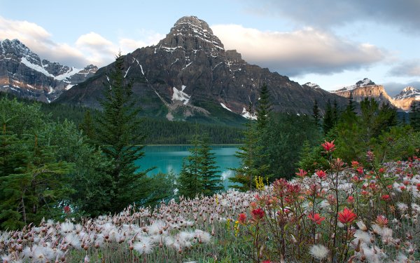 Earth Lake Lakes Landscape Mountain Forest Tree Flower Banff National Park HD Wallpaper | Background Image