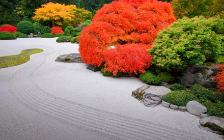 bush colors tree man made japanese garden HD Desktop Wallpaper | Background Image