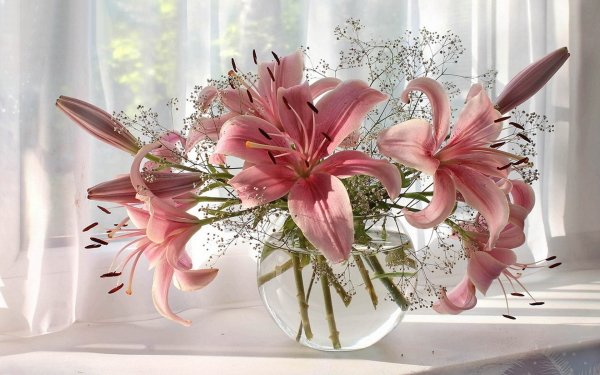 Man Made Flower Lily Vase Pink Flower HD Wallpaper | Background Image
