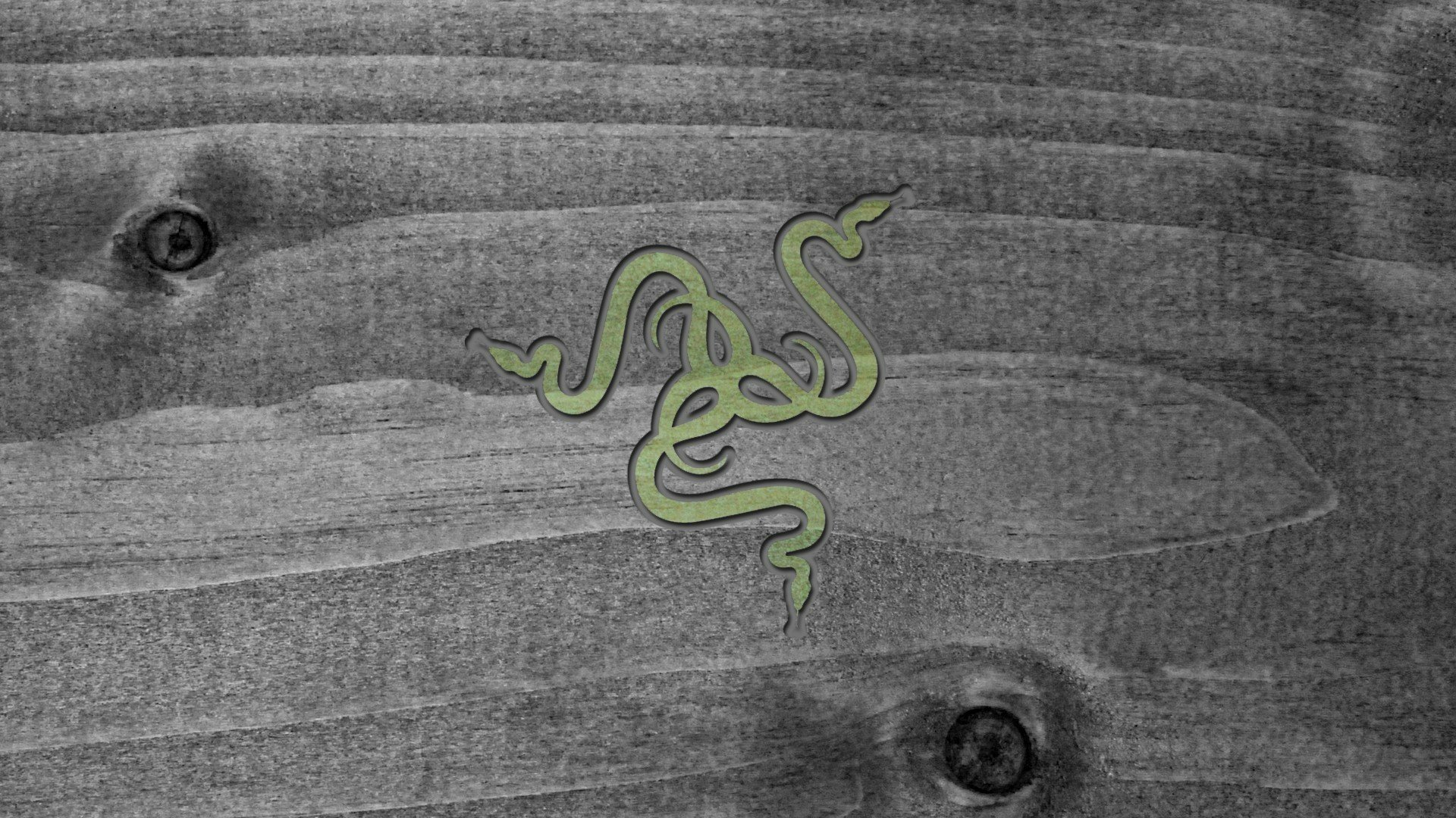 HD PC desktop wallpaper of the green Razer three-headed snake logo on a gray wood-grain background, computer technology branding.