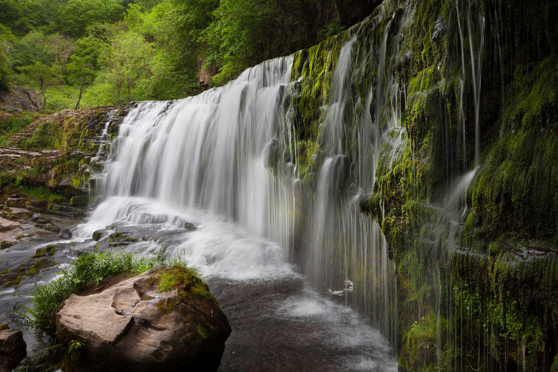 Download Moss Nature Waterfall 4k Ultra HD Wallpaper | 5616x3744 ...