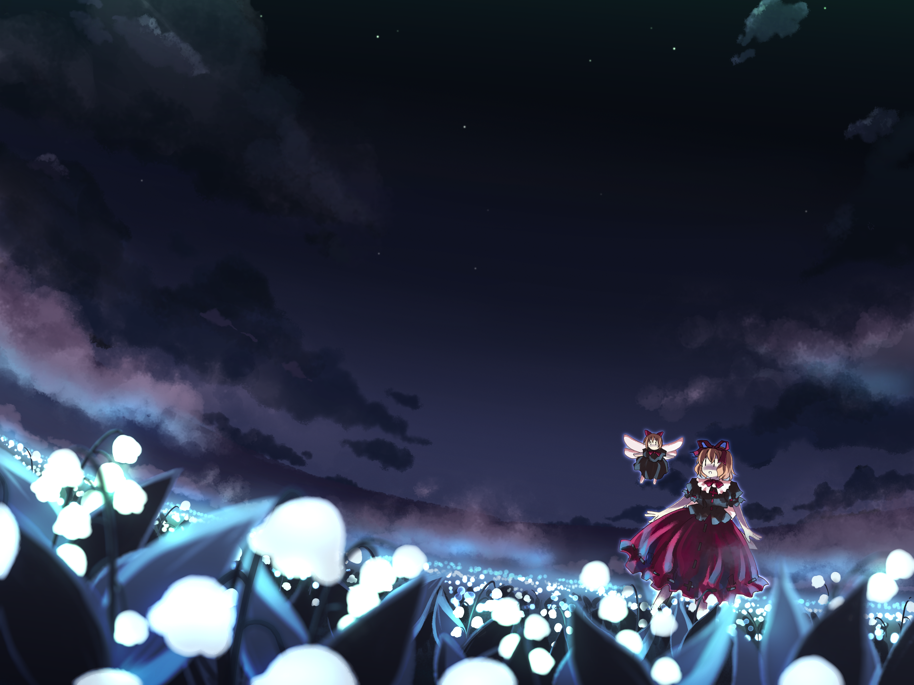 Anime Touhou HD Wallpaper | Background Image