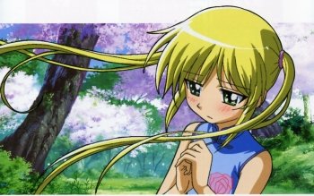 Masou Gakuen HxH A Sub Gallery By: RyuZU²