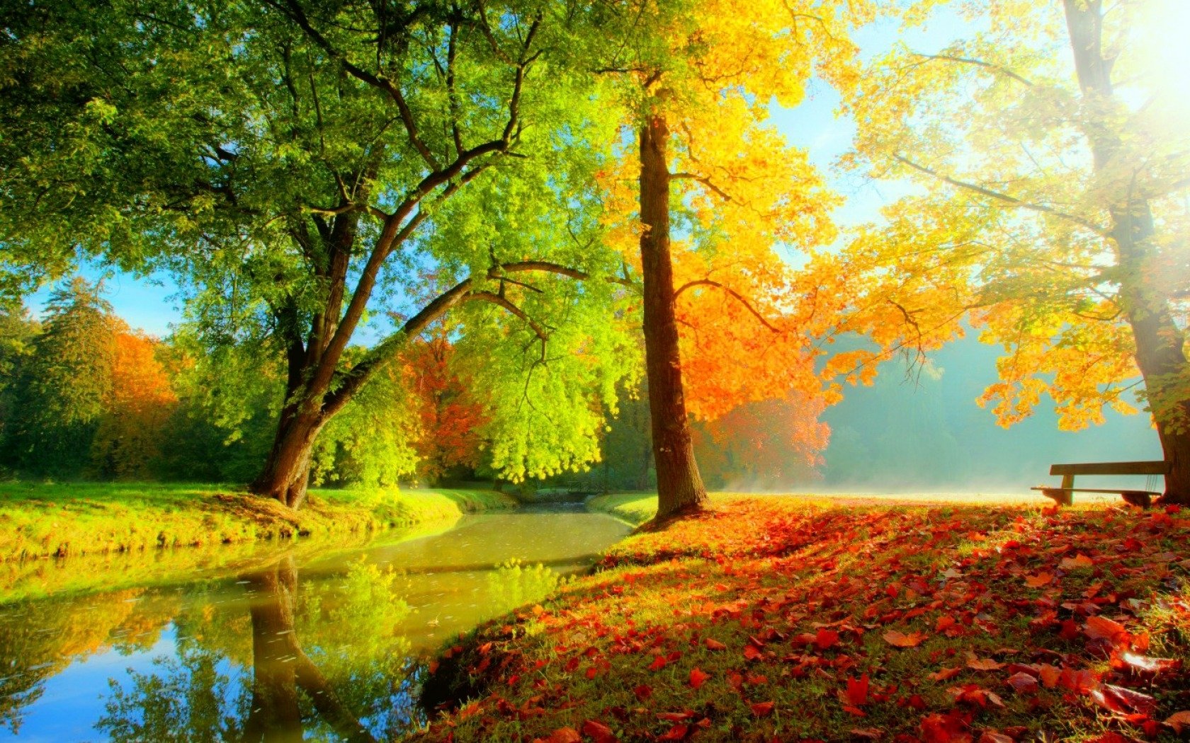 Autumn Serenity: HD Wallpaper of Trees by the River