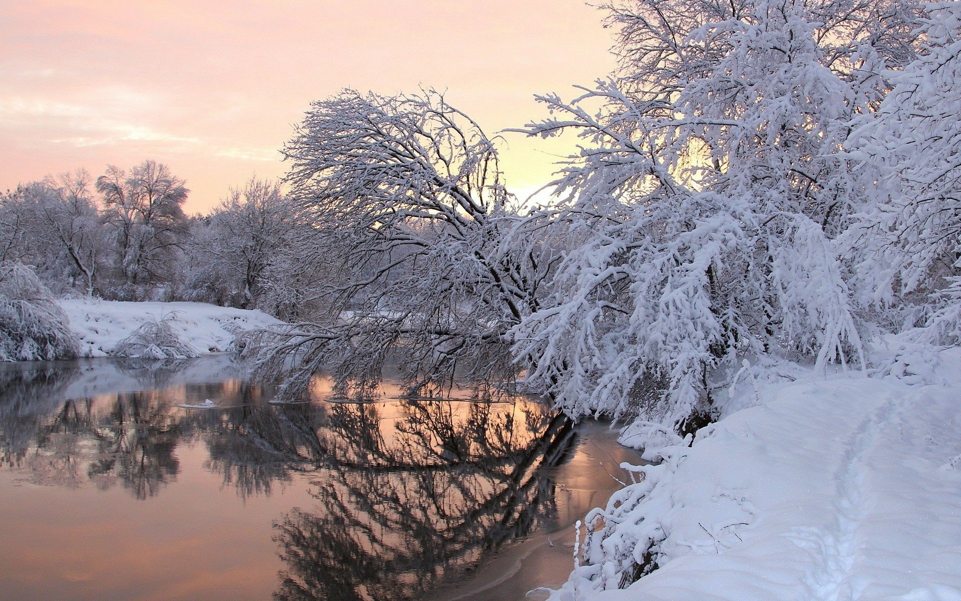 Download Sunset Snow Reflection River Tree Nature Winter Winter Sunset ...