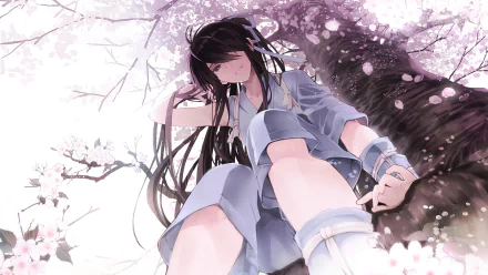 HD anime desktop wallpaper featuring Nasu no Yoichi from Drifters standing beneath blooming cherry blossoms with a serene, detailed background.