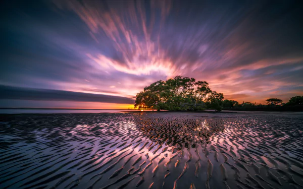 sunset sky horizon tree nature beach HD Desktop Wallpaper | Background Image