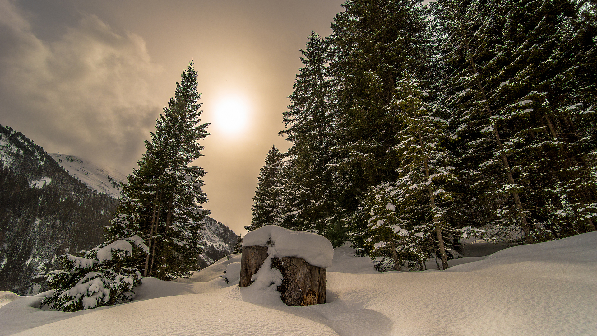 Download Snow Forest Tree Mountain Nature Winter HD Wallpaper