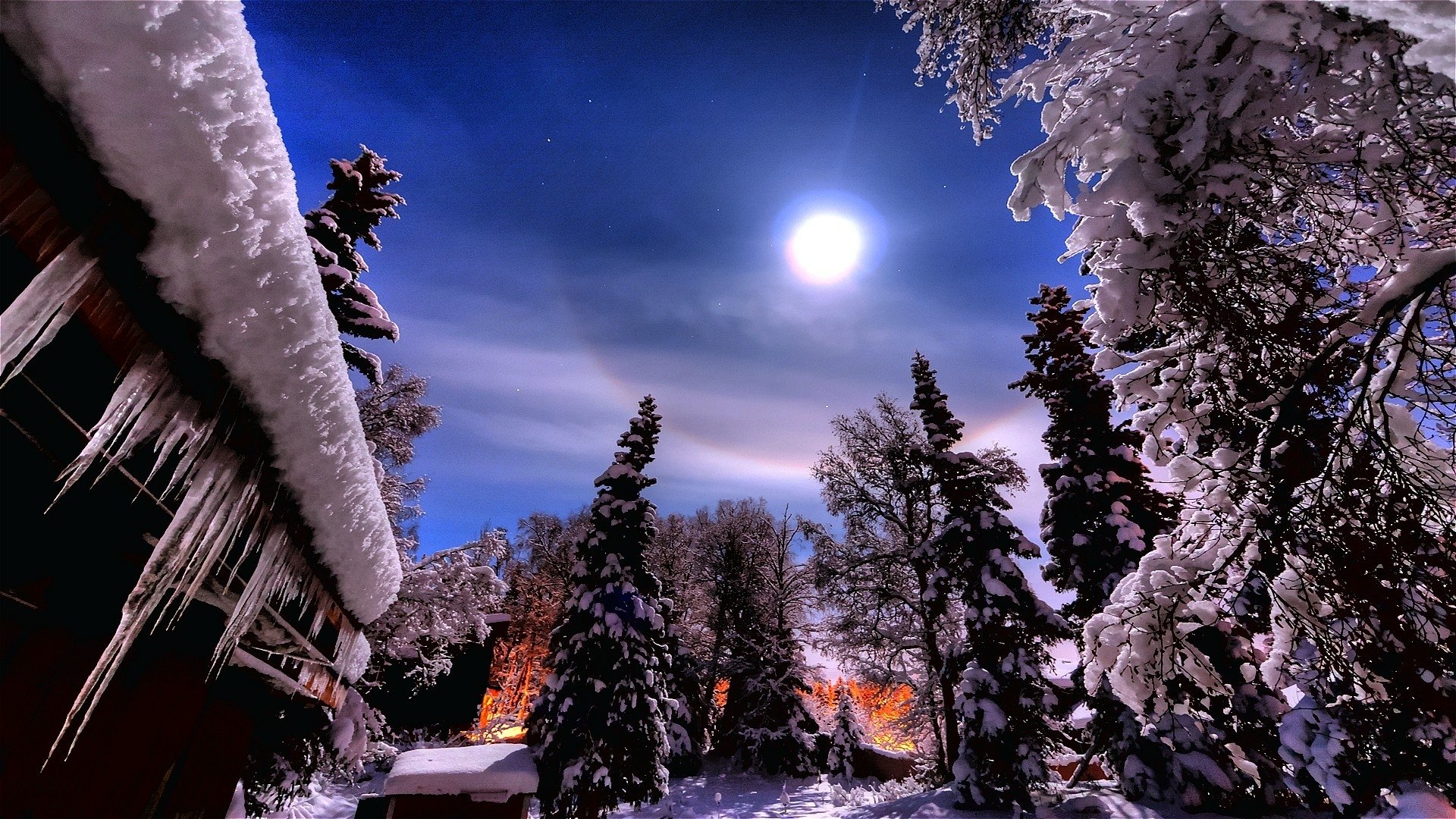 Full Moon over Winter Forest HD Wallpaper | Background Image ...