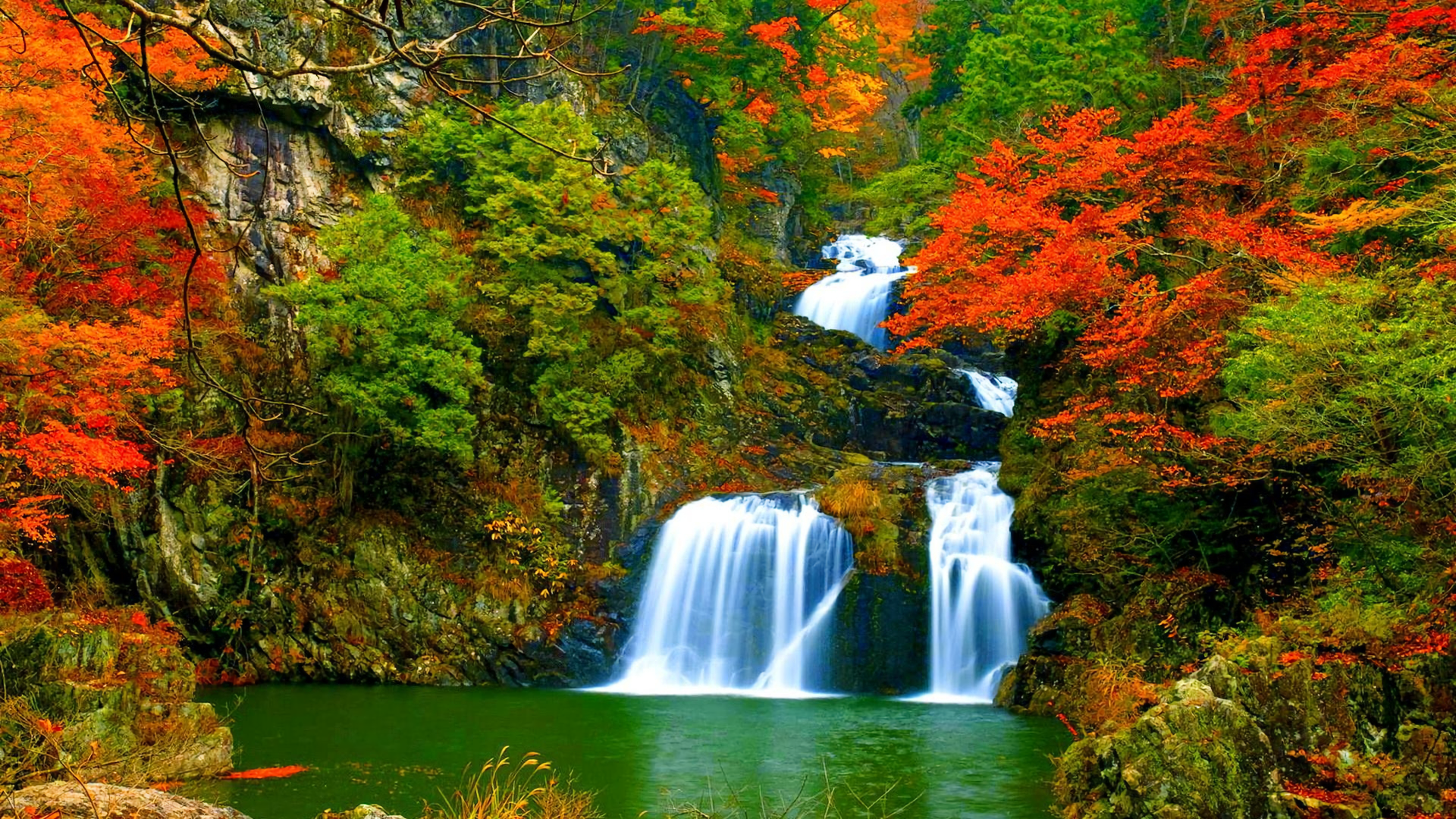 Waterfall, forest, green, rocks, nature, , trees, water, HD phone wallpaper  | Peakpx