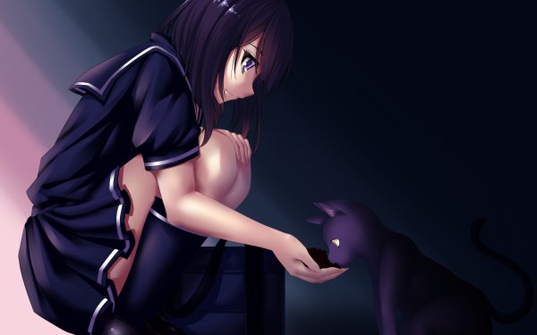 Anime Original Cat HD Wallpaper | Background Image