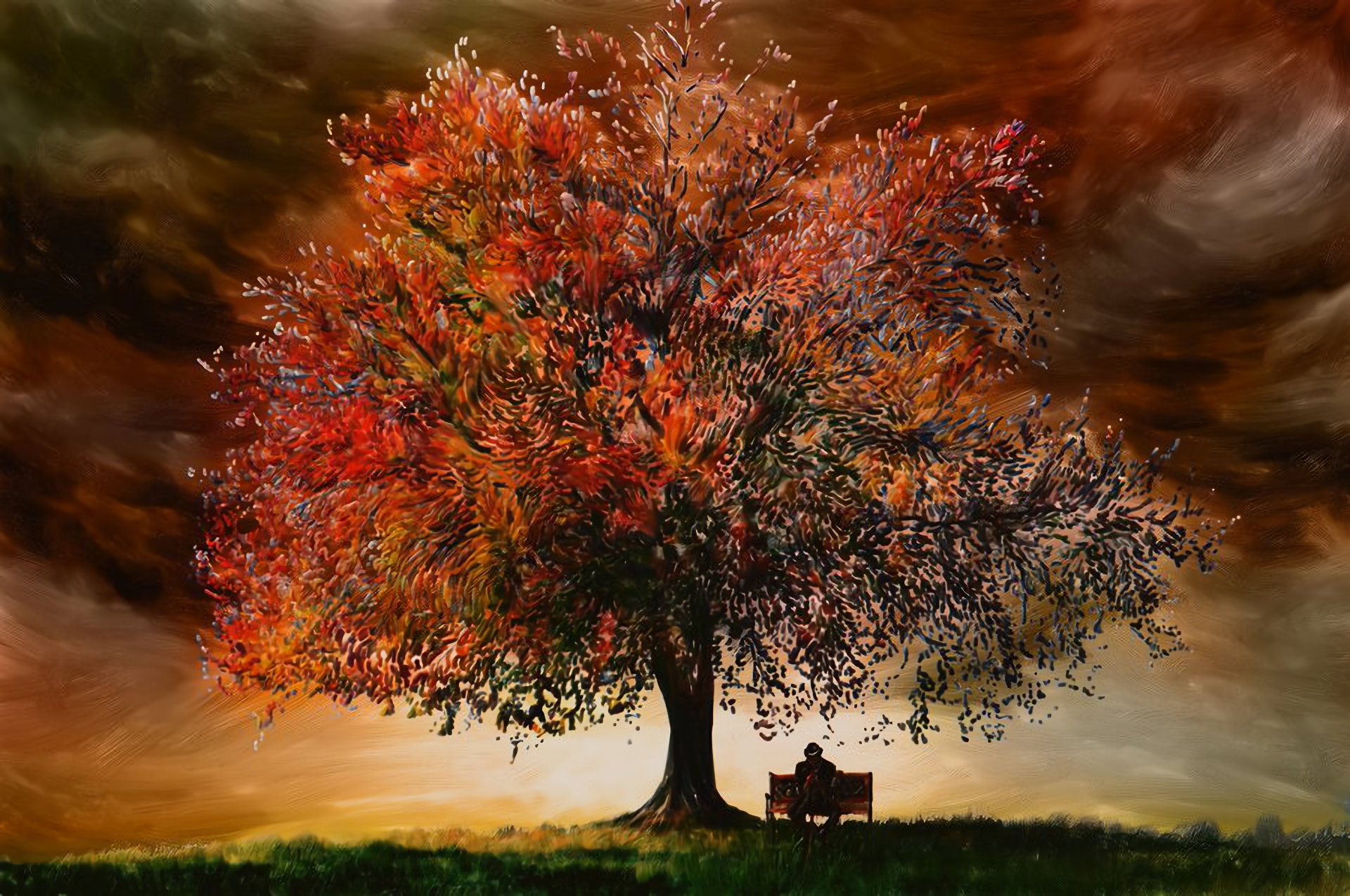 Autumn Tree HD Wallpaper | Background Image | 1920x1275 | ID:769623