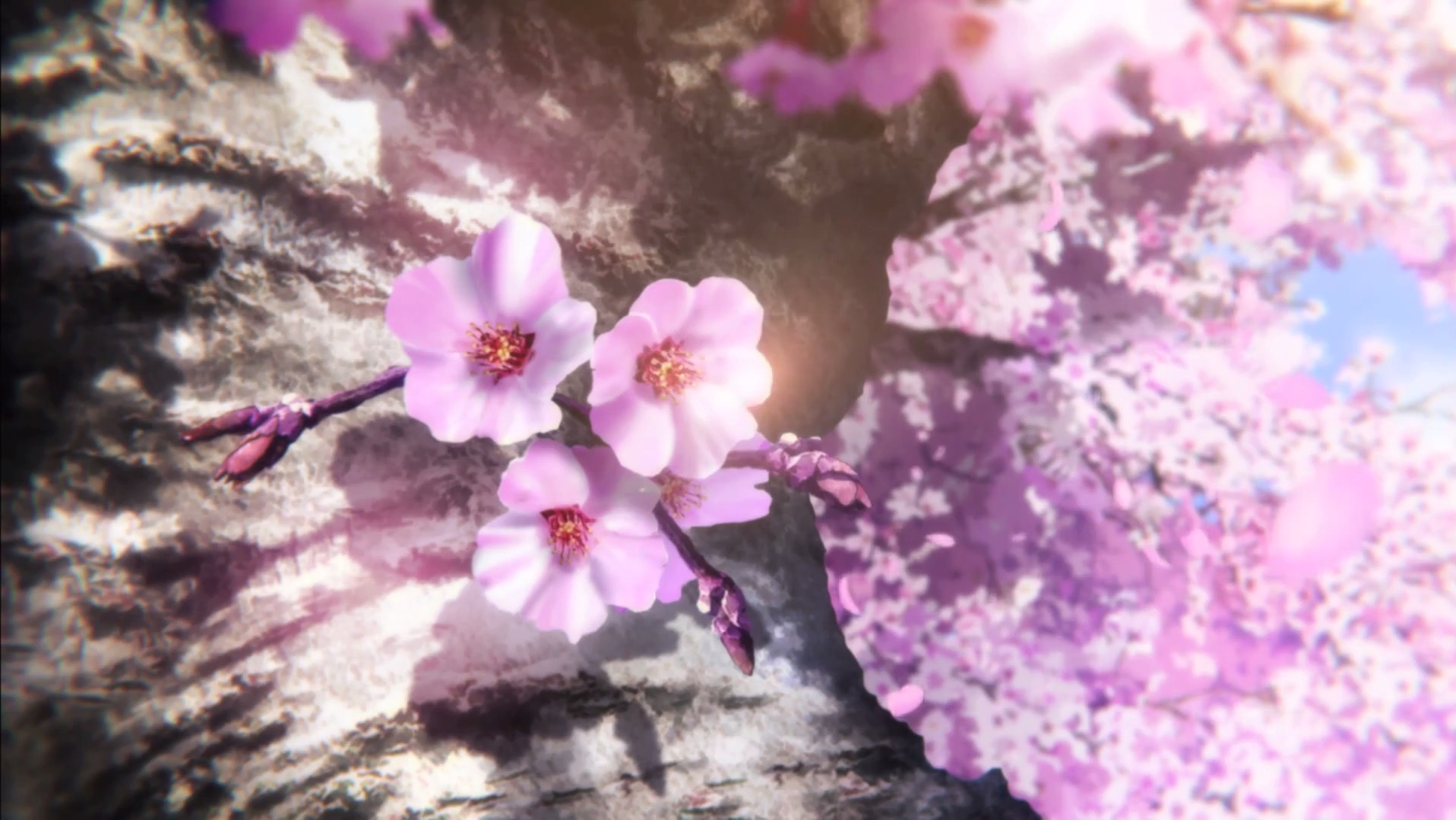 Anime HD PC desktop wallpaper for Beautiful Bones: Sakurako's Investigation — close-up of pink cherry blossoms on a textured tree trunk with soft bokeh and pastel sky background.