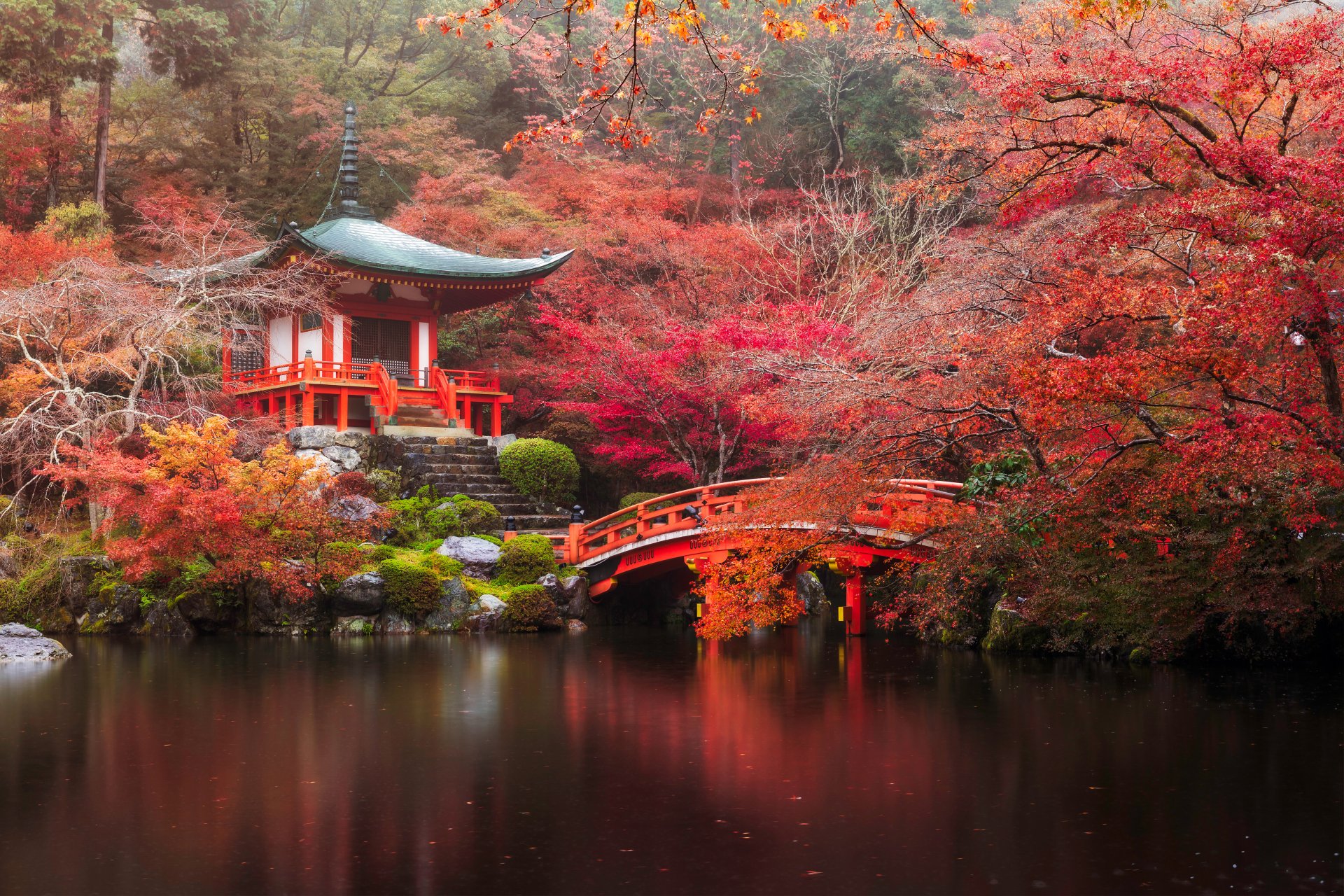 Download Nature Tree Kyoto Pond Bridge Pagoda Park Fall Japan Religious Daigo-ji  4k Ultra HD Wallpaper
