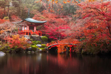 A serene autumn scene at Daigo-ji in Kyoto, Japan, featuring a red pagoda, a curved bridge over a pond, surrounded by vibrant fall foliage in a peaceful park setting.
