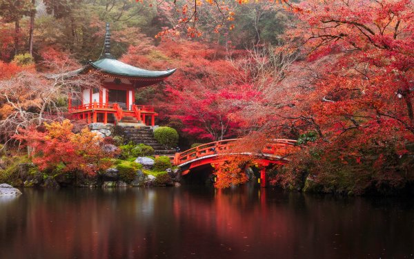 Religioso Daigo-ji Templos Japón Otoño Parque Pagoda Puente Pond Kyoto Árbol Naturaleza Fondo de pantalla HD | Fondo de Escritorio