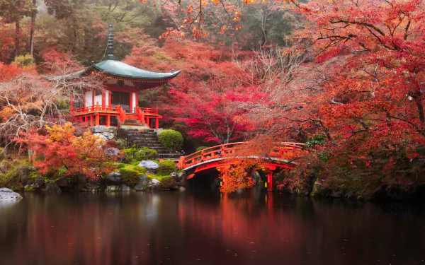 nature tree Kyoto pond bridge pagoda park fall Japan religious Daigo-ji HD Desktop Wallpaper | Background Image