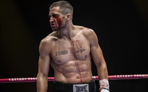 Jake Gyllenhaal movie Southpaw HD Desktop Wallpaper | Background Image