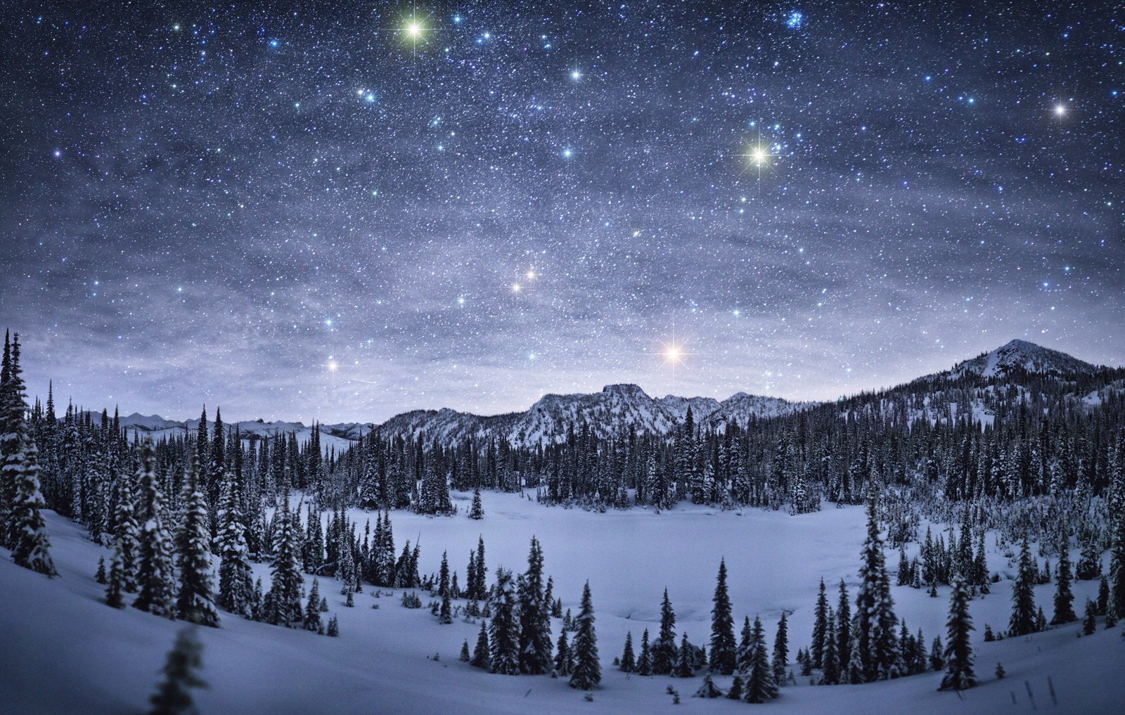 Starry Night over Winter Landscape Wallpaper and Background Image 1600x1017 ID770912