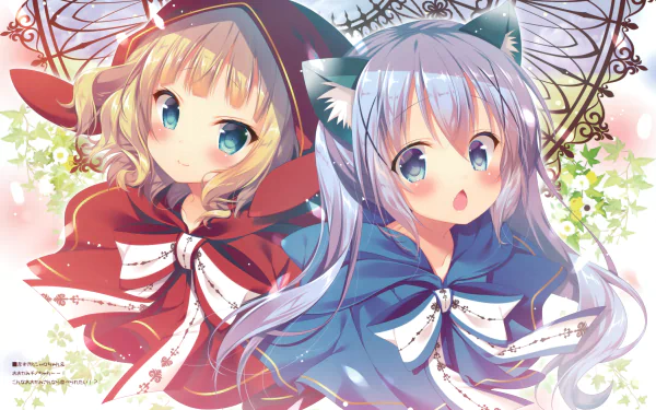 HD desktop wallpaper featuring anime characters Sharo Kirima and Chino Kafū from the series Is the Order a Rabbit, adorned in red and blue cloaks with vibrant floral background.