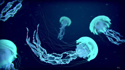 HD desktop wallpaper featuring three glowing jellyfish drifting gracefully in a dark blue underwater environment.