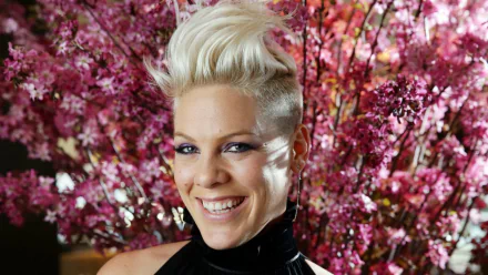 jazz pop rock pop music Pink (Singer) music HD Desktop Wallpaper | Background Image