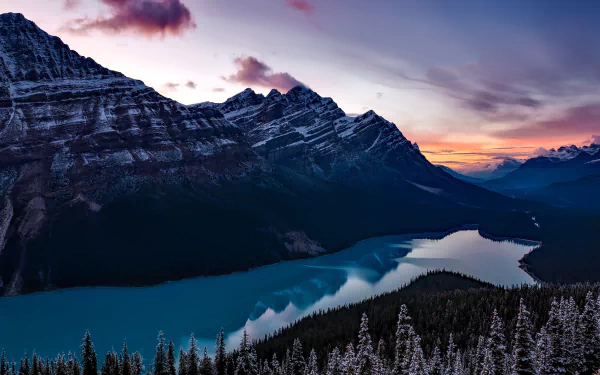 forest reflection landscape panorama mountain nature Canada lake peyto lake HD Desktop Wallpaper | Background Image