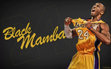 HD desktop wallpaper featuring an animated style image of a basketball player in a yellow and purple jersey with the text Black Mamba 24.