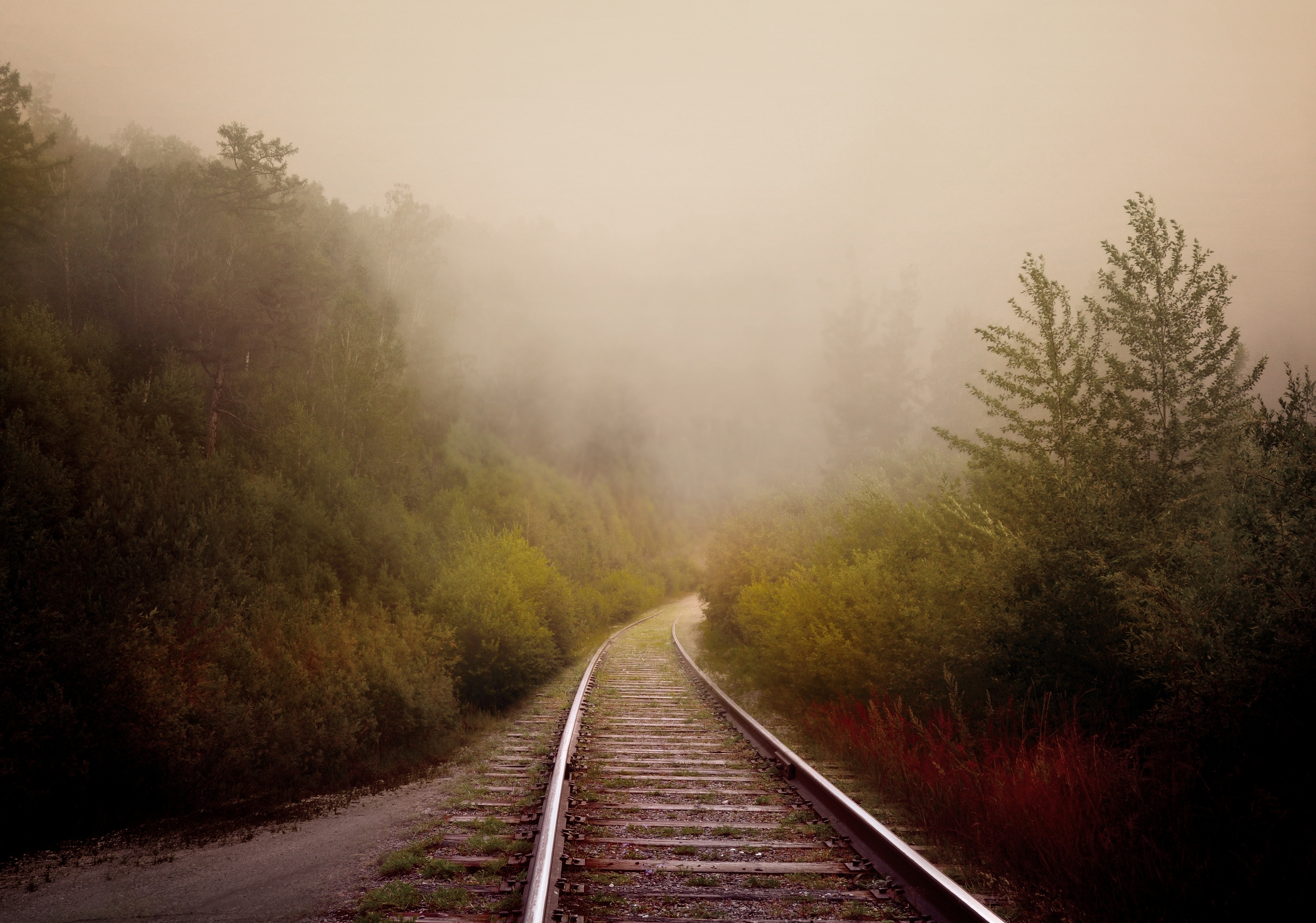 Уходящая железная дорога. Железная дорога в даль. Дорога в тумане. Рельсы в тумане. Поезд в тумане.