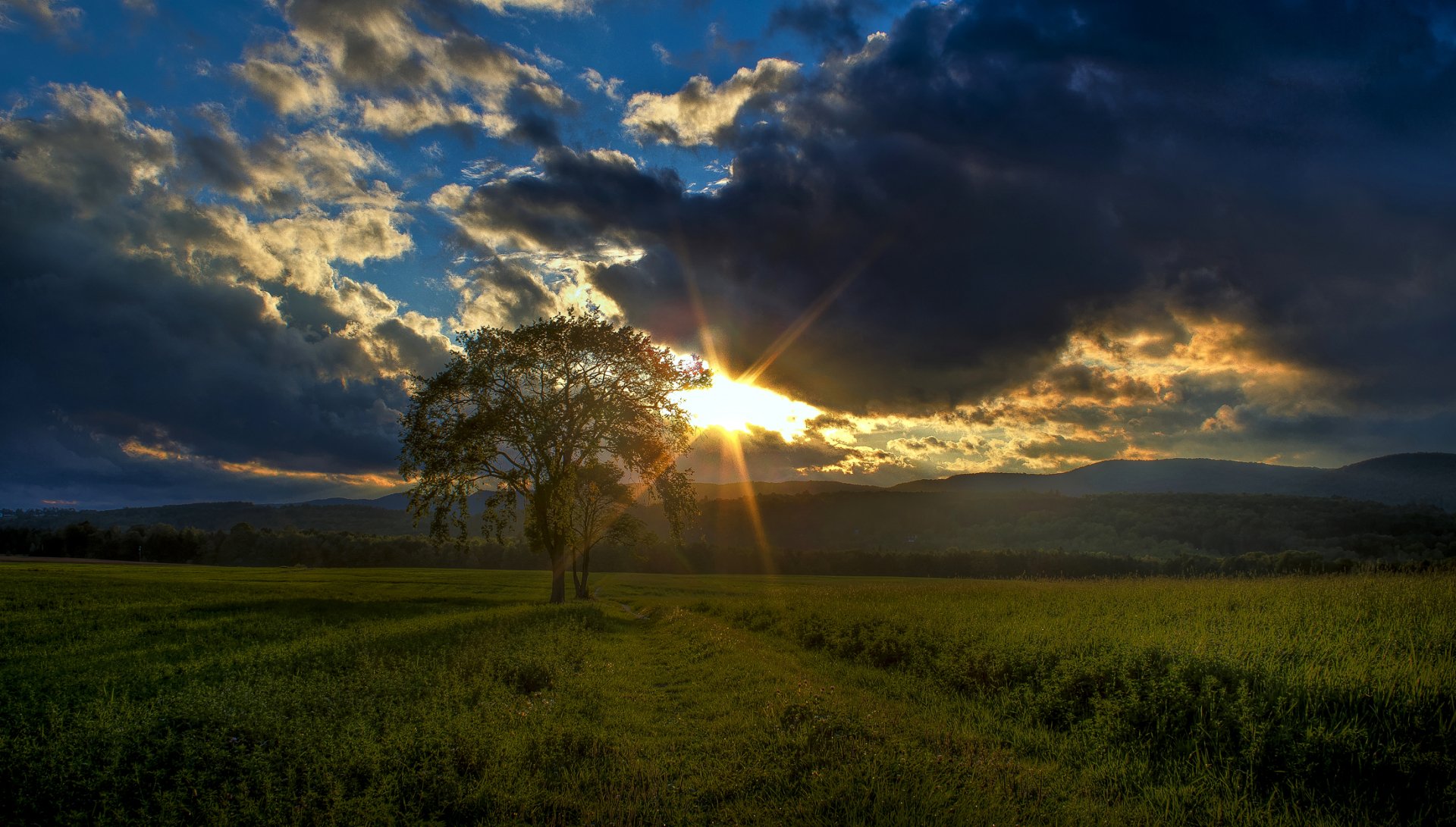 Download Sunbeam Summer Cloud Lonely Tree Tree Nature Field HD Wallpaper