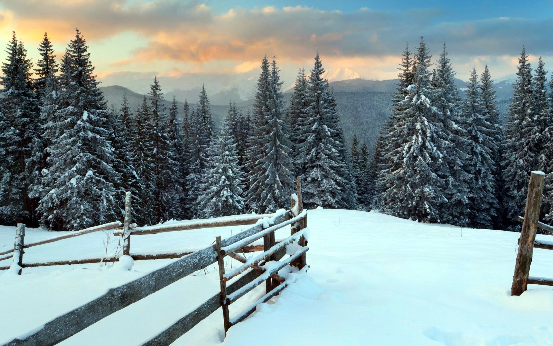 Download Snow Fence Forest Tree Mountain Nature Winter Snowy Mountain HD Wallpaper